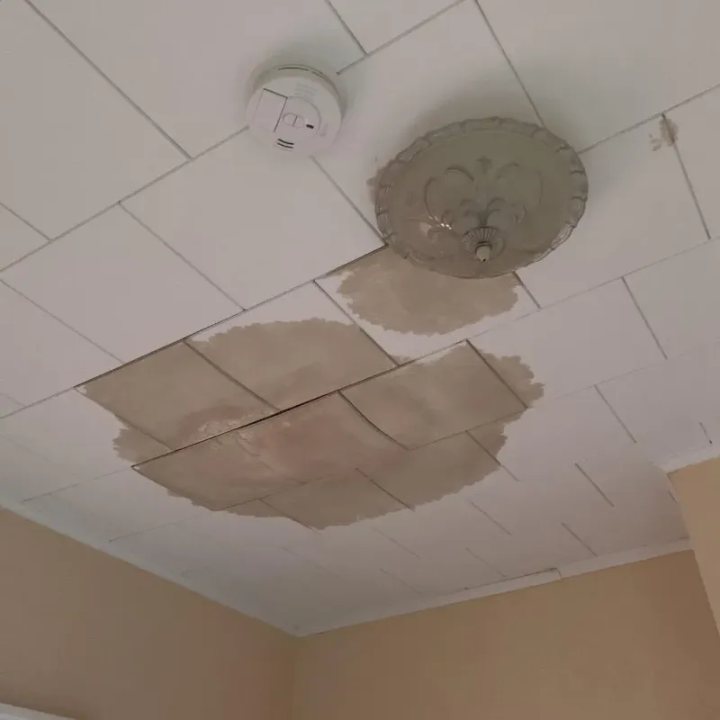 Ceiling Water Damage Repair in Tamworth, NH