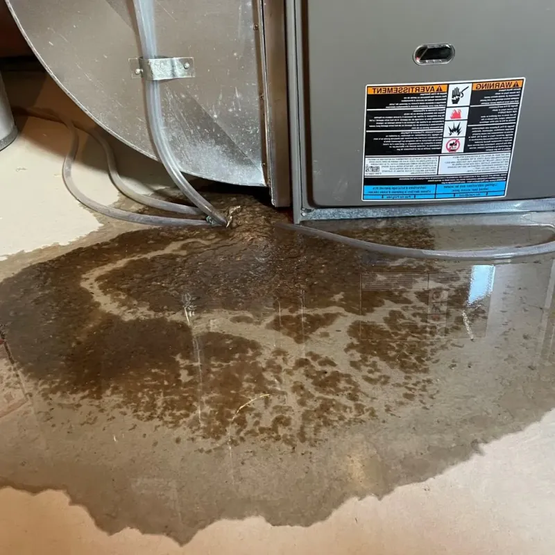 Pipe Burst and Leak Restoration in Tamworth, NH