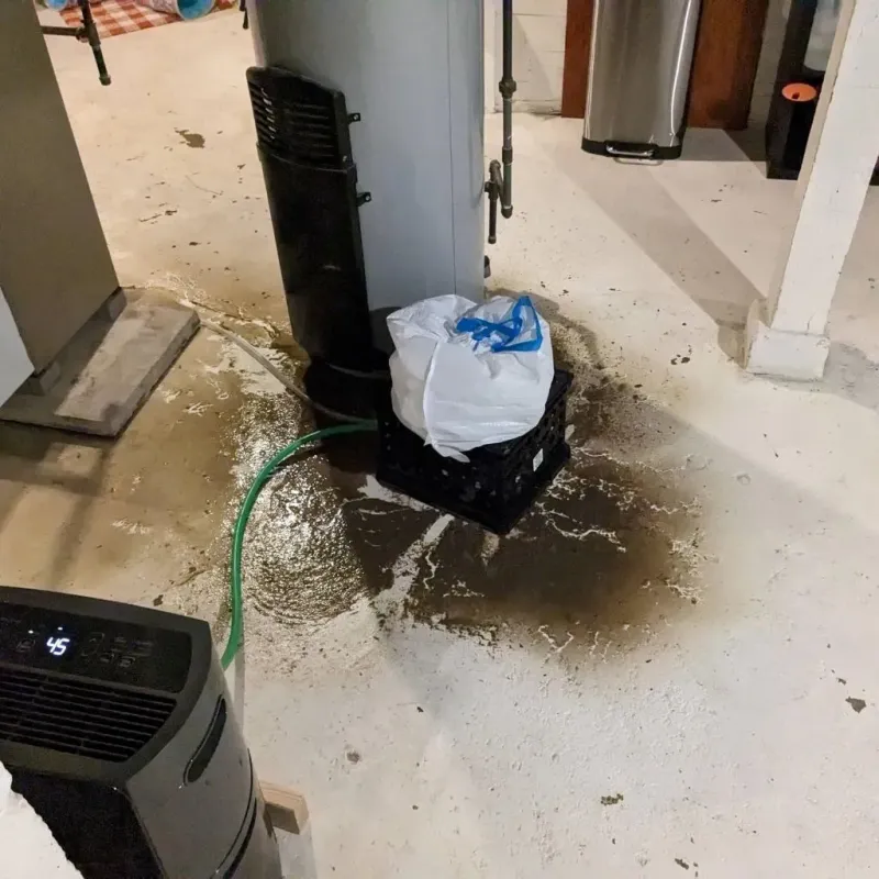 Sewage Backup Cleanup Service in Tamworth, NH